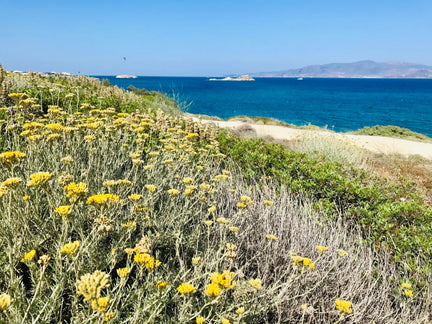 Customer Feature: Greek Potato Fields to Sustainable Skincare Journey